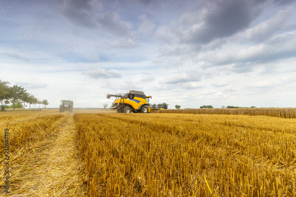 Fototapeta premium Mähdrescher im Einsatz auf einem Feld