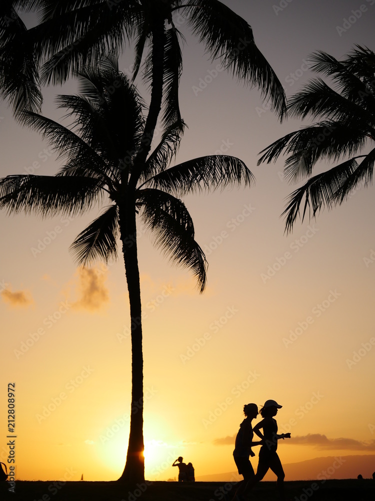 people running at the beach park with palm trees silhouette 