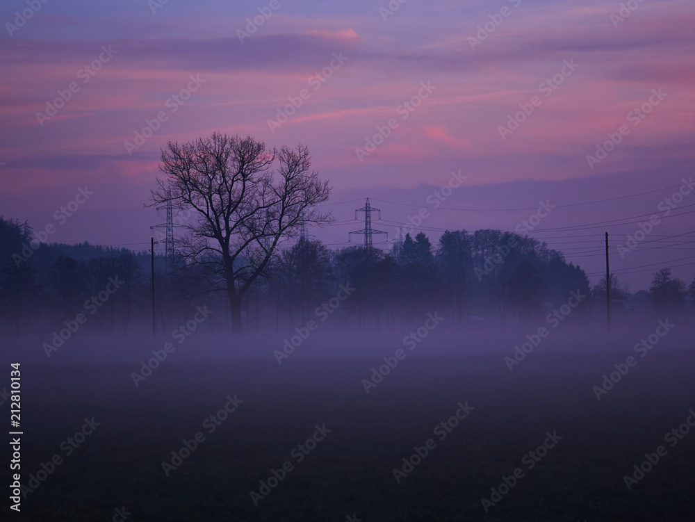 Fototapeta premium nebel stimmung