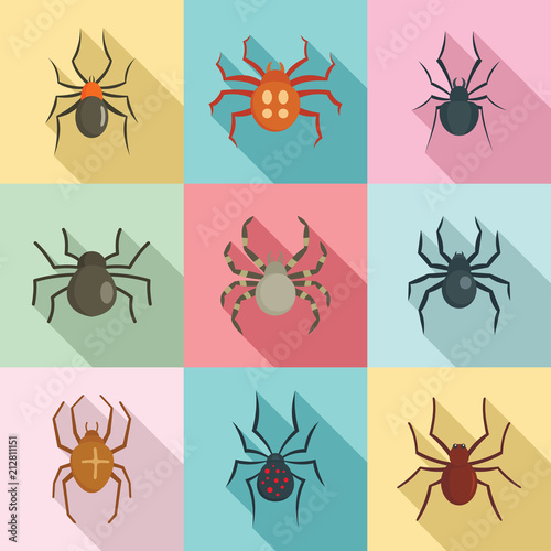 Spider bug caterpillar phobia icons set. Flat illustration of 9 spider bug caterpillar phobia vector icons for web