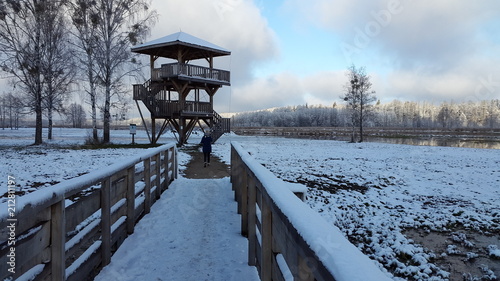 Wieża widokowa zimą na rozlewiskach w okolicach Białowieży w Polsce photo