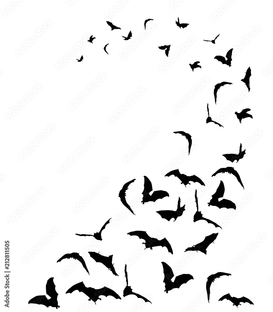 Obraz premium Flying bats in the sky
