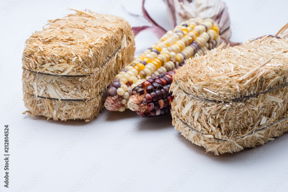 Hay and maize corn cob on white background with room for text