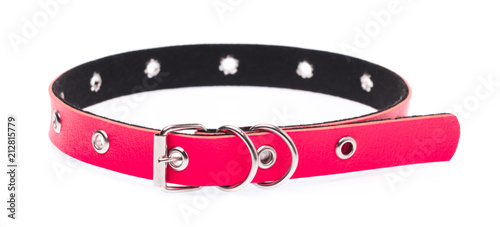 red leather dog collar isolated on white background