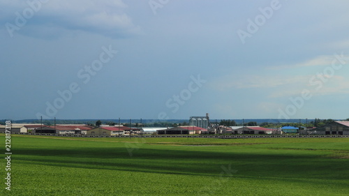 Beautiful rural landscape – green field in summer against the blue sky with clouds and farm on the horizon