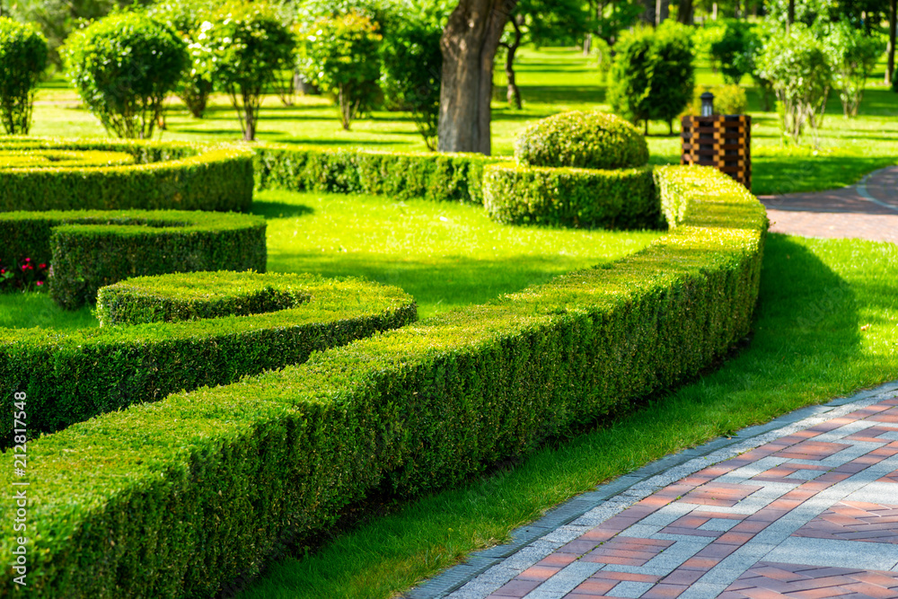 Geometric bushes and a cropped lawn in landscape design