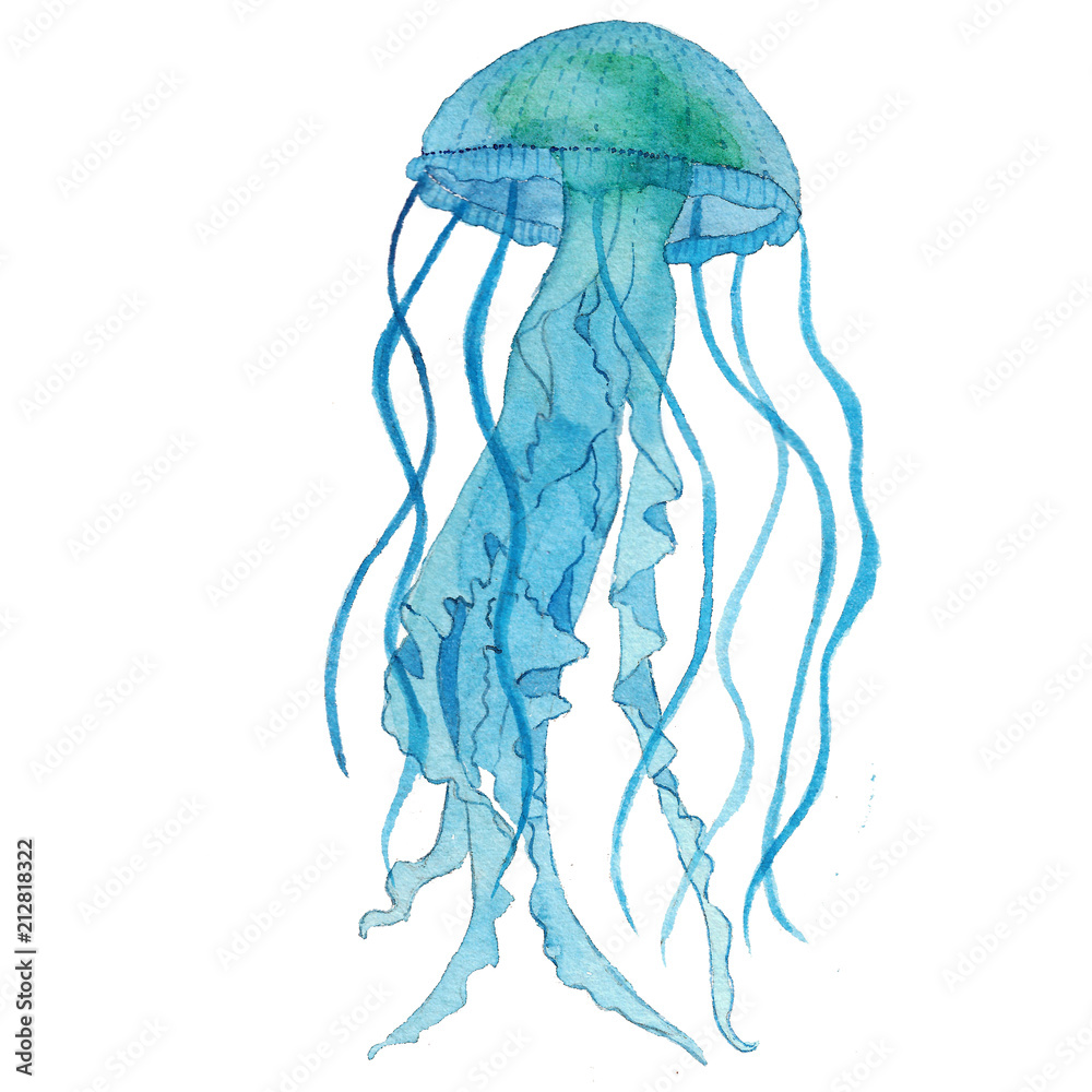 watercolor blue jellyfish watercolor blue jellyfish