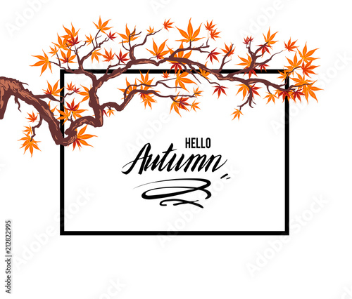 Frame autumn leaves