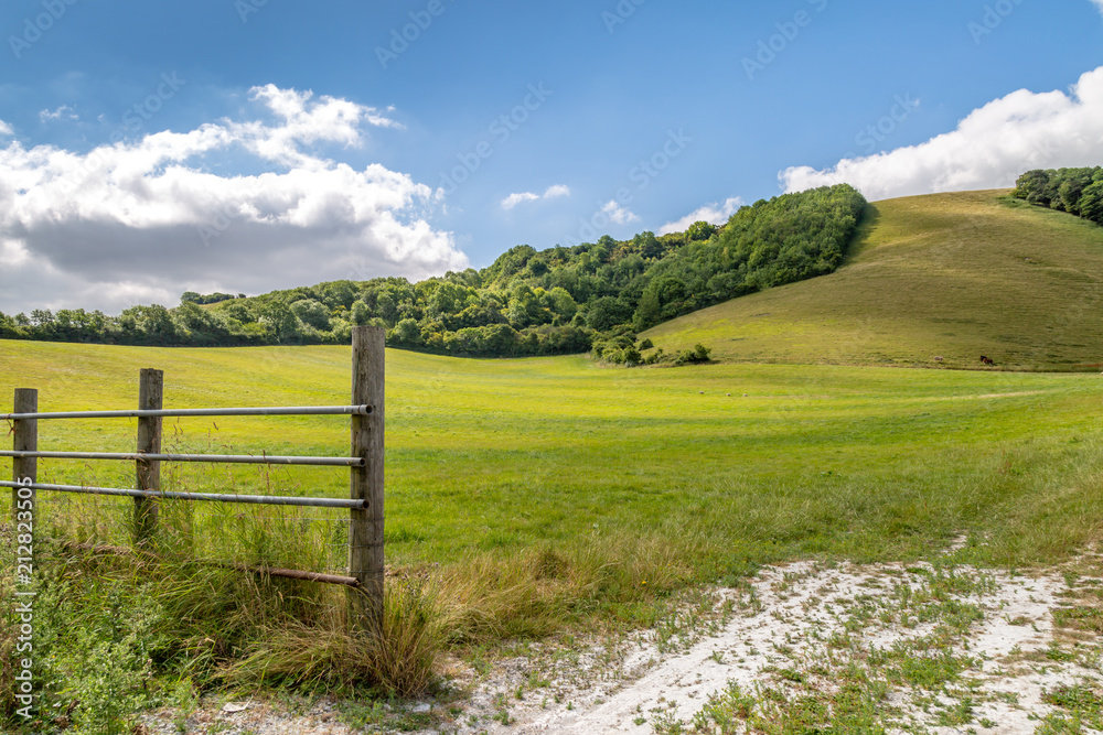 A green landscape in the South Downs National Park in Sussex