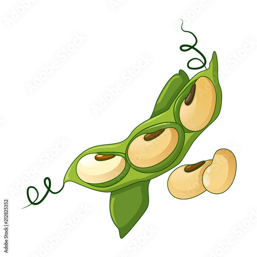 Green beans icon. Cartoon of green beans vector icon for web design isolated on white background