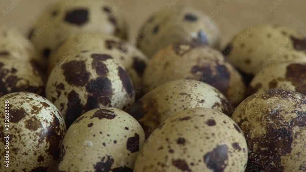 Uncooked quail eggs in pack. Rotating and closeup. Nobody Uncooked quail eggs in pack. Rotating and closeup. Nobody