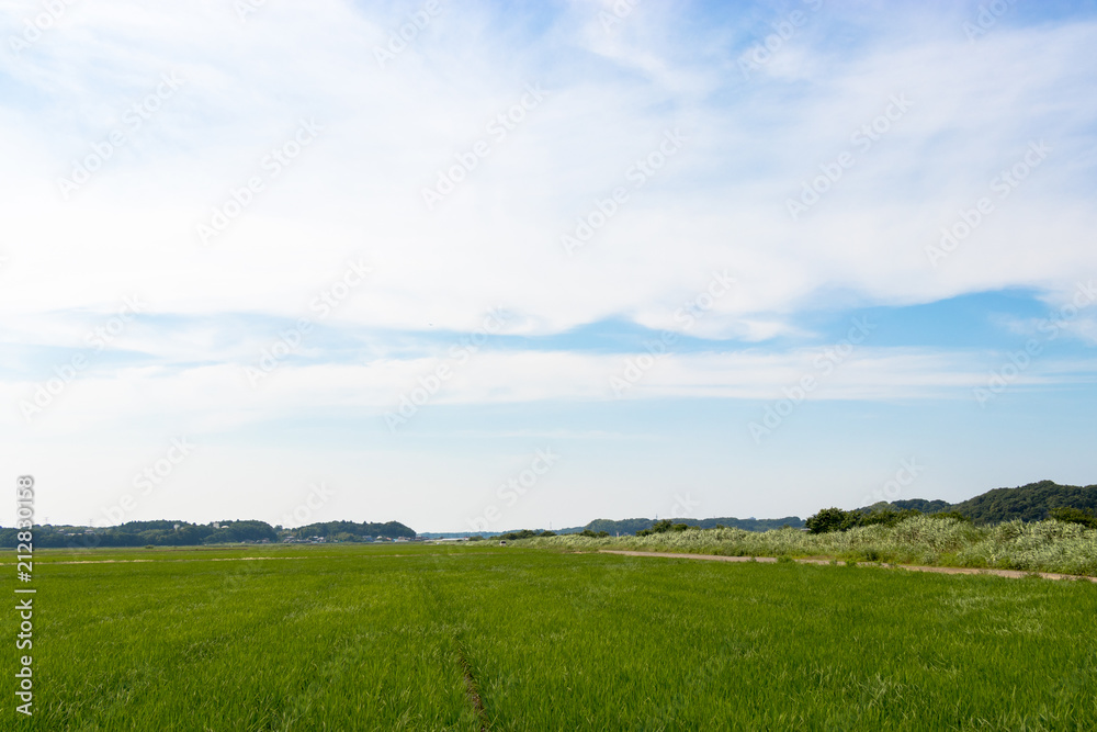 Countryside scenery of Sakura city, Chiba prefecture, Japan