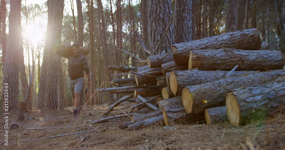 Male logger carrying wooden log in the forest 4k