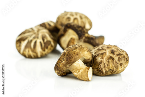 Fresh raw brown shiitake mushroom isolated on white.