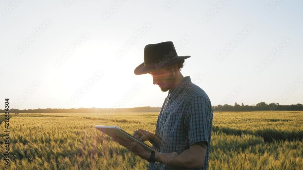 Young male in hat work in wheat field with tablet Young male in hat work in wheat field with tablet