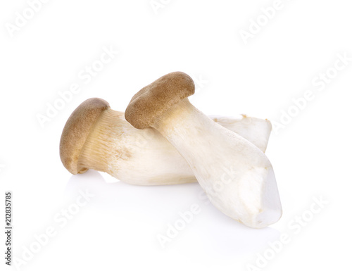 mushroom on the White background