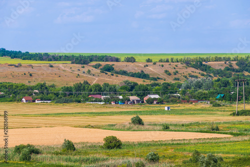Wheat field landscape in the day time © rostovdriver