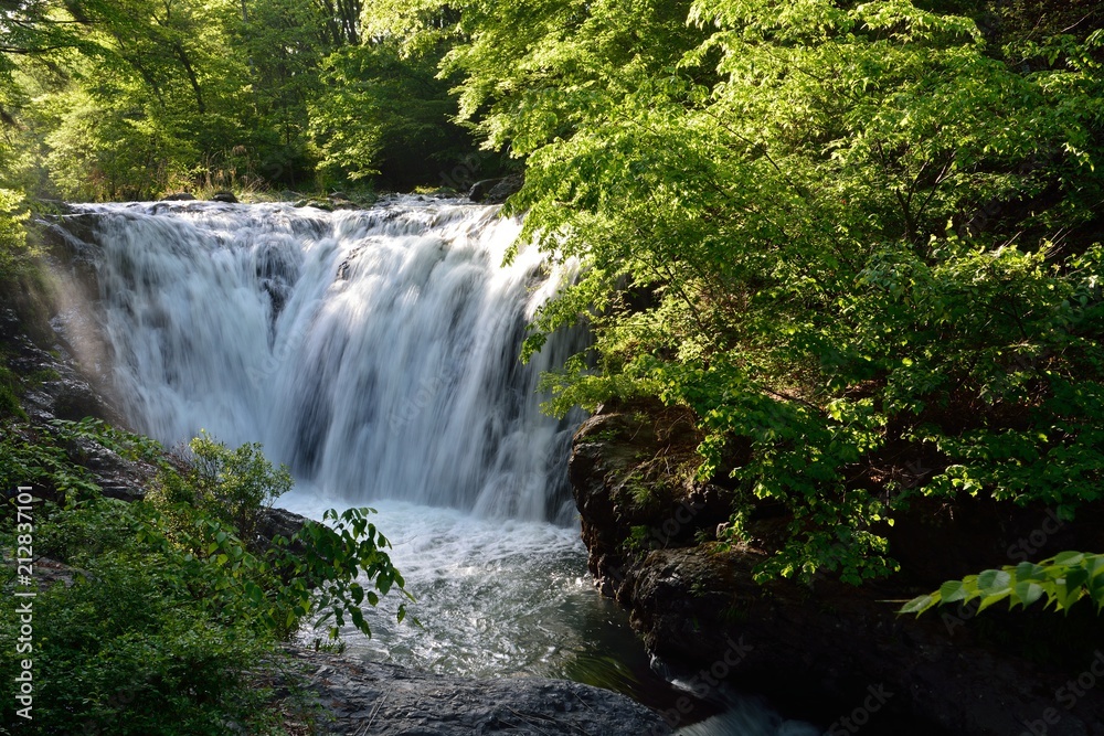 Naklejka premium 滝の流れのある新緑の山の中
