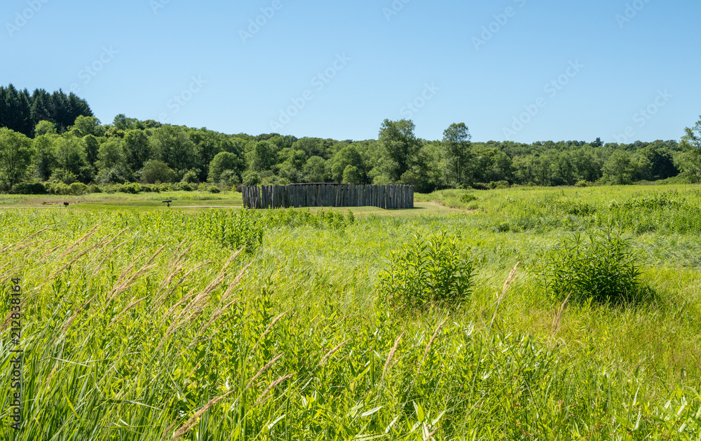 Fototapeta premium Fort Necessity in Pennsylvania