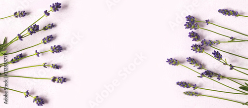 Fototapeta Naklejka Na Ścianę i Meble -  Fresh lavender flowers on pink background