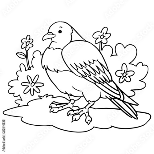Cute pigeon cartoon illustration isolated on white background for children color book