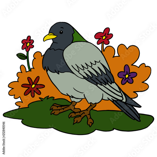 Cute pigeon cartoon illustration isolated on white background for children color book