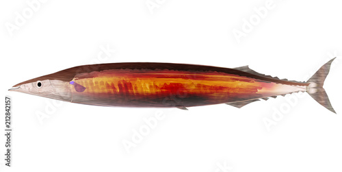 さんま　秋　焼く　アイコン