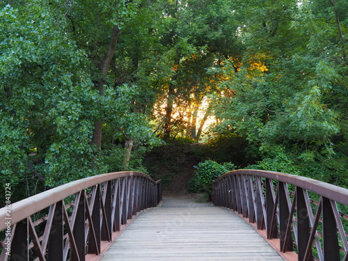 Sunset Landscape photo