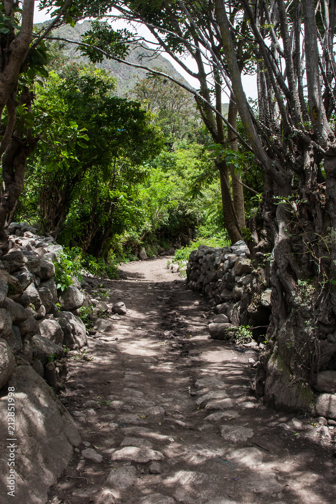 Ancient Inca Trail paved path to the lost city of Machu Picchu. Peru. South America. No people Ancient Inca Trail paved path to the lost city of Machu Picchu. Peru. South America. No people