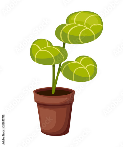 Plant in pot. Indoor and outdoor landscape garden potted plant. Modern and elegant home decor. Vector illustration isolated on white background