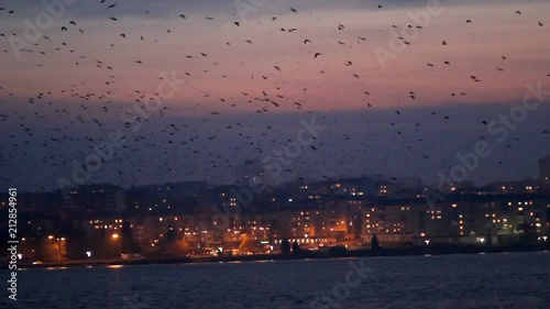 Birds swirl over the night lake against the night lights of the big city.