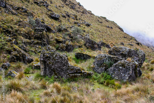 Black stones rest on a green and yellow firld on top of a mountain in the Andes. Inca Trail. Peru. No people. photo