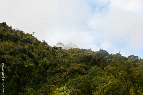 Mountain peak covered in mist behind wild forest of a mountain in the Andes. Peru. South America. No people.
