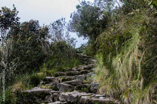 Stone steps of the Inca Trail to Machu Picchu in the wildness. Beautiful wallpaper.