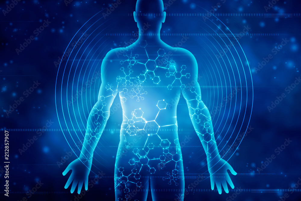 2d illustration Human Male Muscle Body 2d illustration Human Male Muscle Body