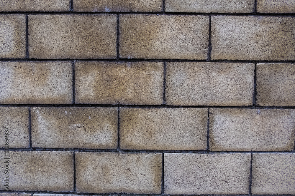 Fototapeta premium Texture of a wall in the city. World. Perfect wallpaper background. No people.