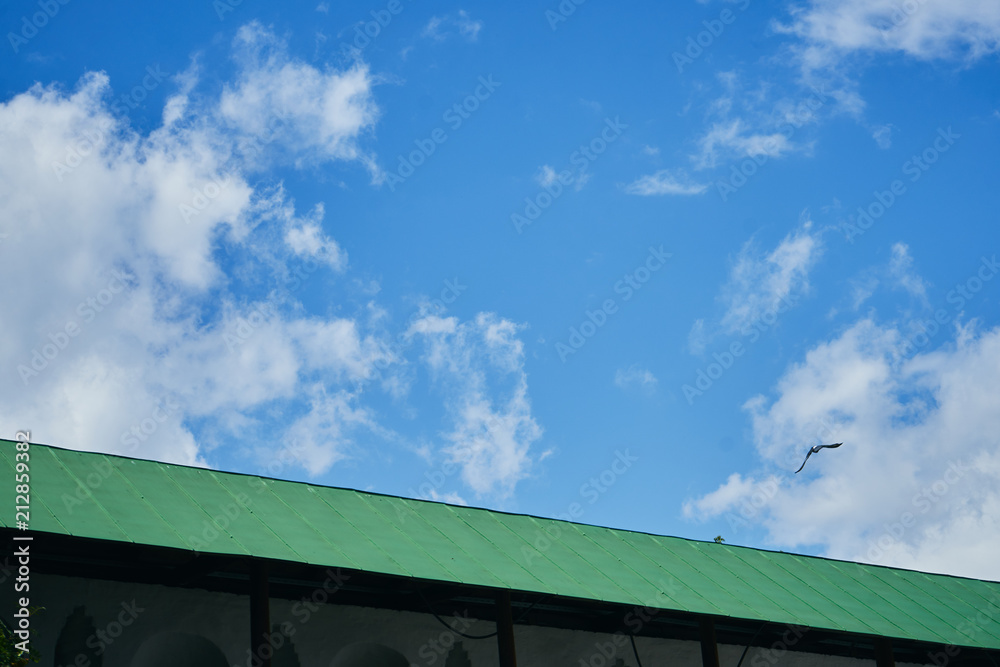 green roof on blue sky background
