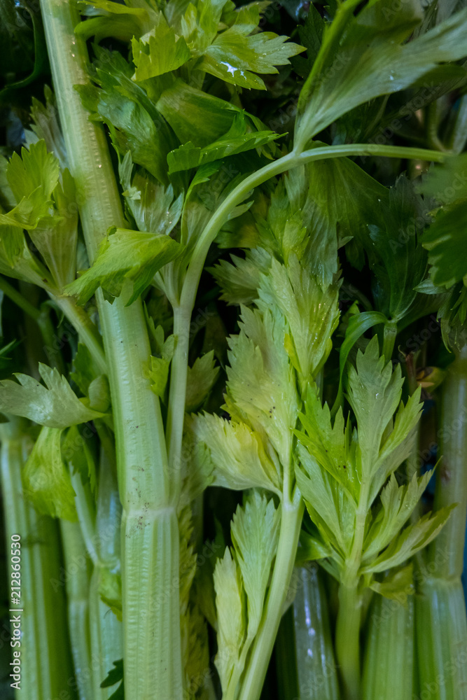 Obraz premium City market stall with fresh celery. Rome. Europe. No people.