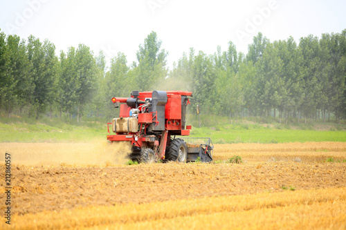 combine harvester working