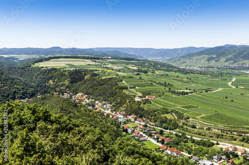Summer view to Wachau valley near Krems, Lower Austria.