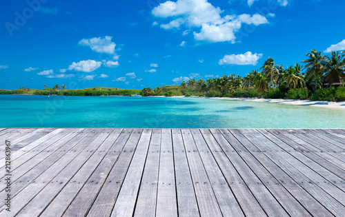 beach and tropical sea