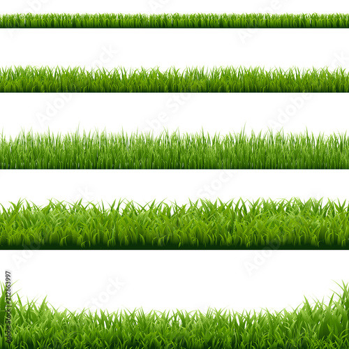 Big Set Green Grass Borders