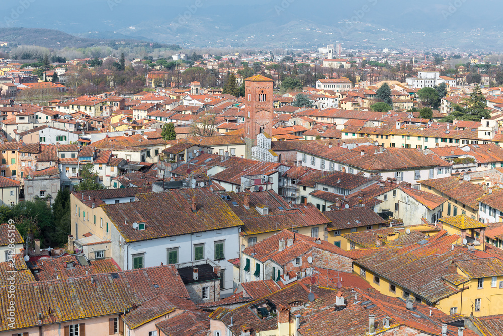 Medieval town of Lucca view from Guinigi tower, Tuscany, Italy