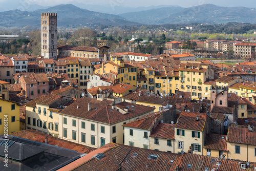 Medieval town of Lucca view from Guinigi tower, Tuscany, Italy