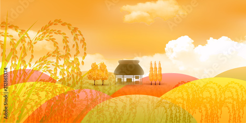 稲　米　紅葉　背景 