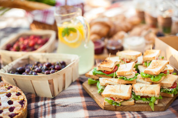 photo outdoor picnic picnic, nature in the garden, snacks, cupboards, close-up