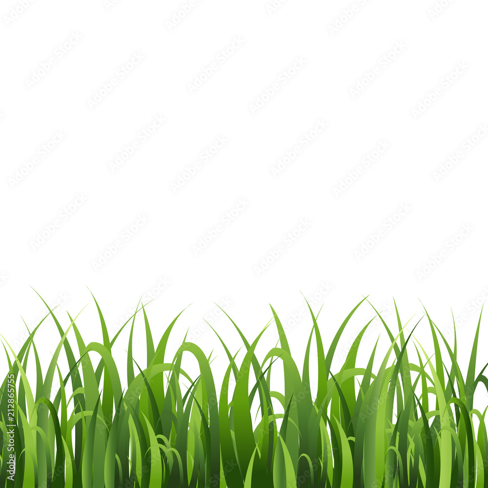Fototapeta premium Green Grass Isolated White Background