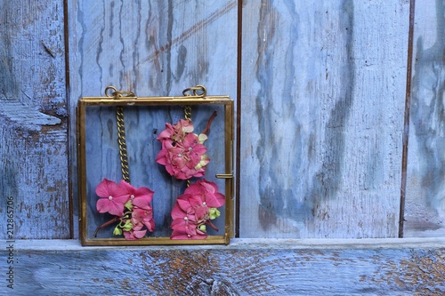 Pink hydrangea flowers pressed into a brass and glass square frame on a blue rustic painted wooden shed door, unusual wedding decoration , vintage style 
