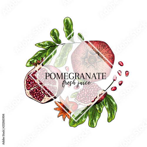 Hand drawn pomegranate composition. Vector colored engraved illustration. Juicy natural fruit. Food healthy ingredient. For cooking, cosmetic package design, medicinal herb, treating, healt care.