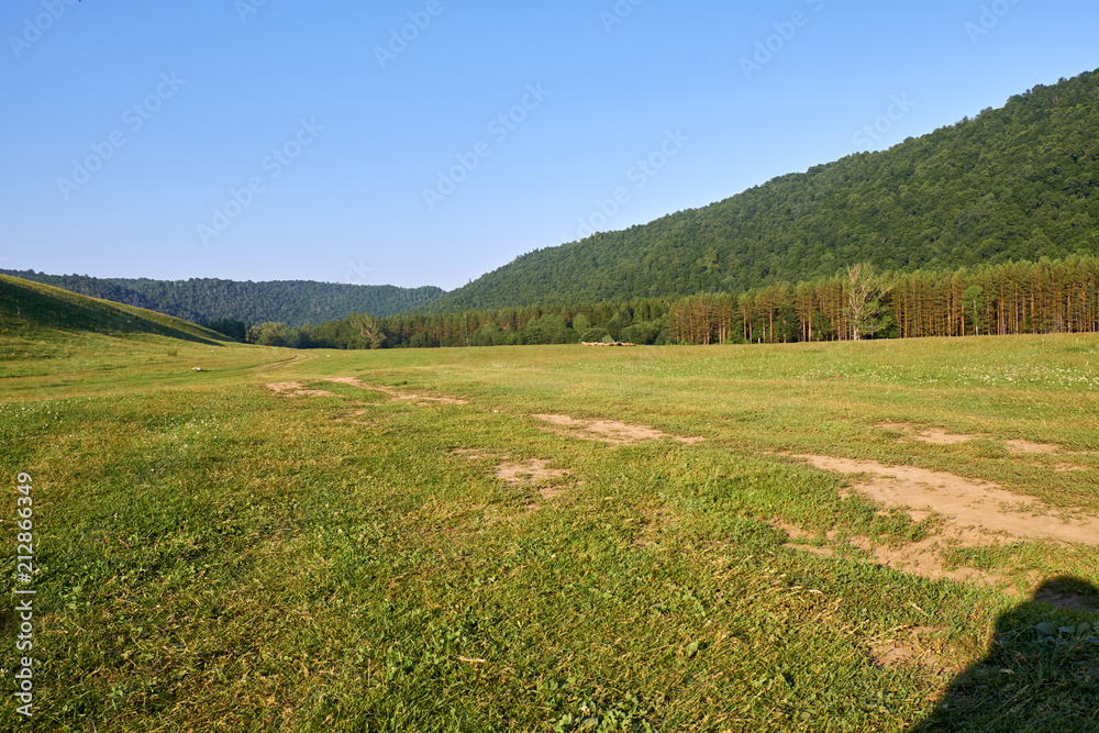 large meadows. pasture
